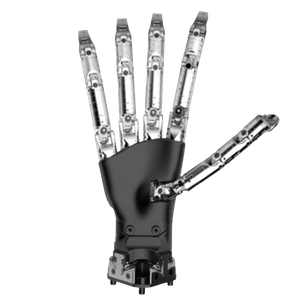 Wuji Hand